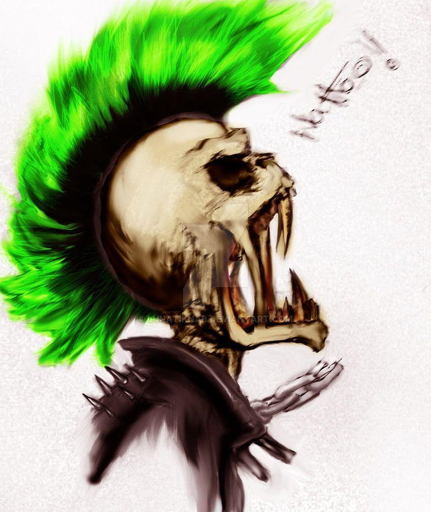 Rawr Punk, skull punk HD phone wallpaper