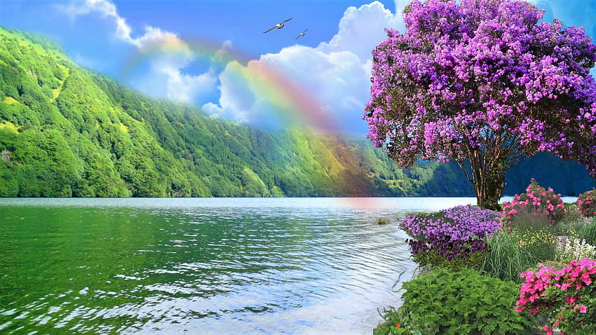 Rainbow With Grenery, natural rainbow HD wallpaper