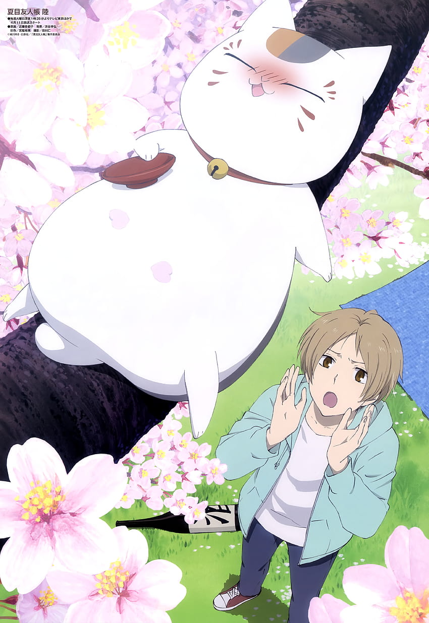Natsume Yuujinchou, anime nyanko sensei phone HD phone wallpaper