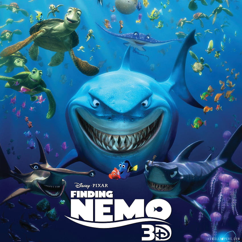 Buscando a Nemo 3D, buscando s de nemo fondo de pantalla del teléfono |  Pxfuel