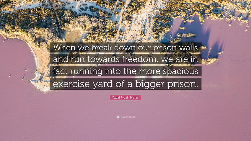 Yuval Noah Harari Quote: “When we break down our prison walls and run towards dom, we are in fact running into the more spacious exercise yard ...” HD wallpaper