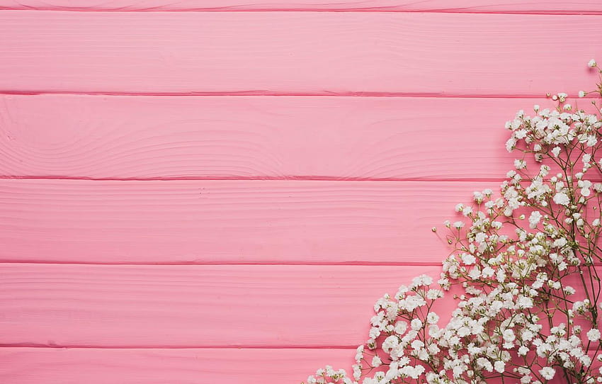 flowers, background, tree, pink, texture, pink, pink wood HD wallpaper