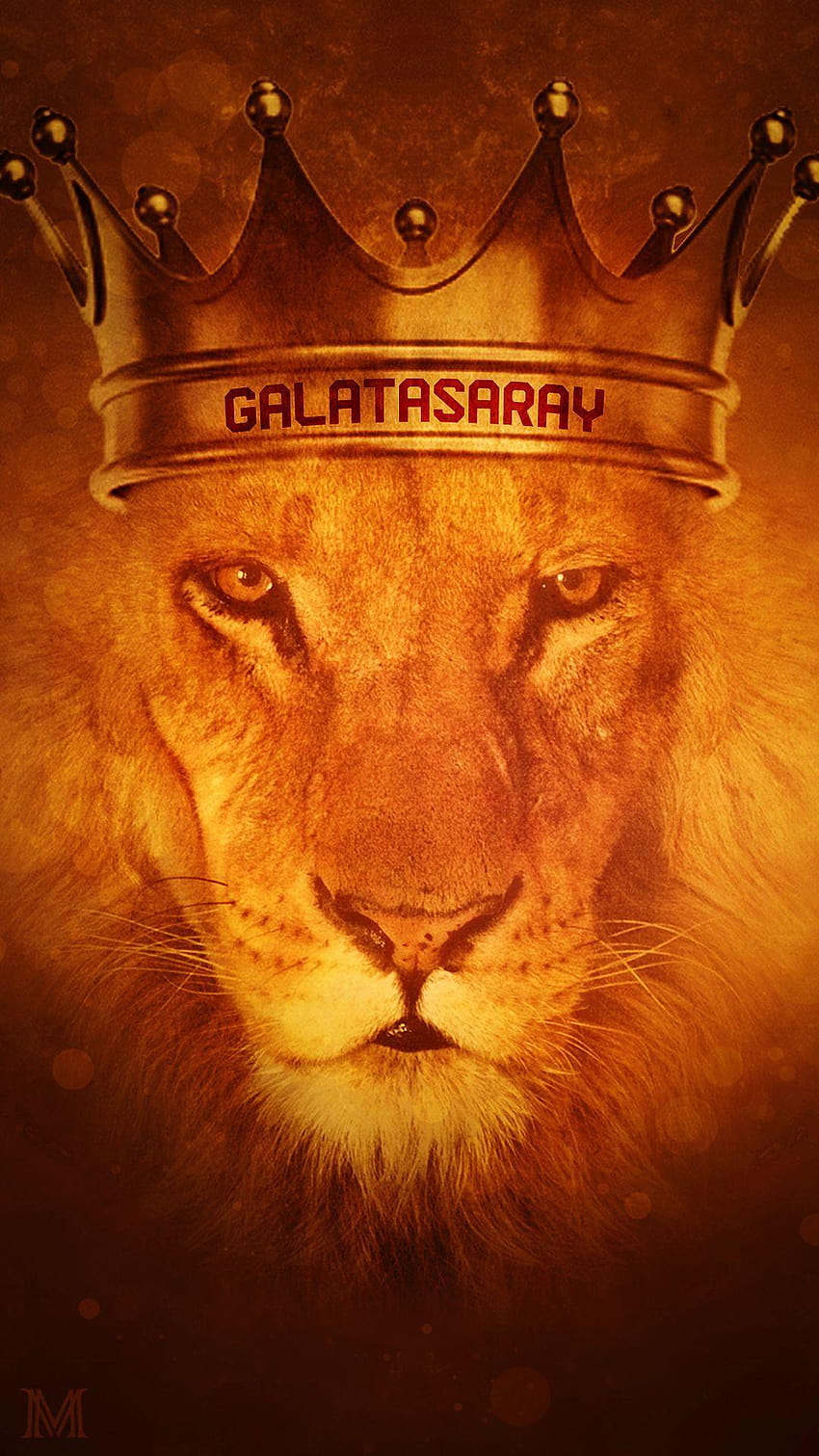 galatasaray, aslan HD-Handy-Hintergrundbild