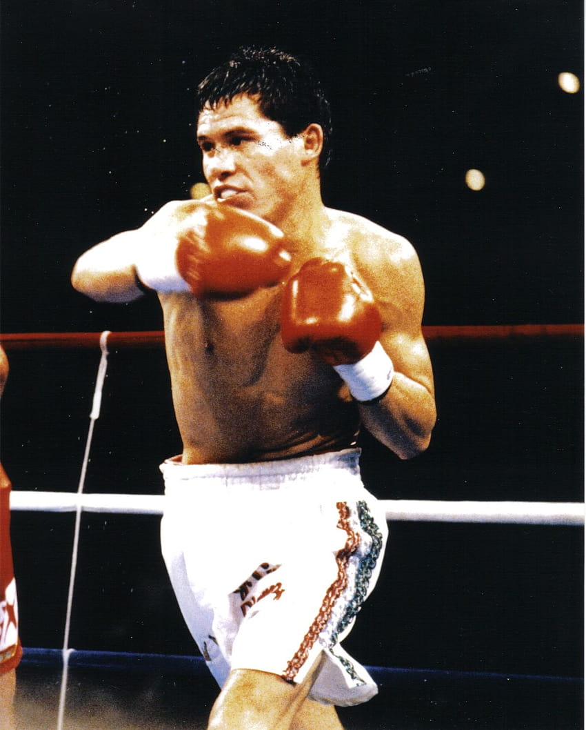 Julio Cesar Chavez Champion du Monde de Boxe Mexique Fond d'écran de téléphone HD