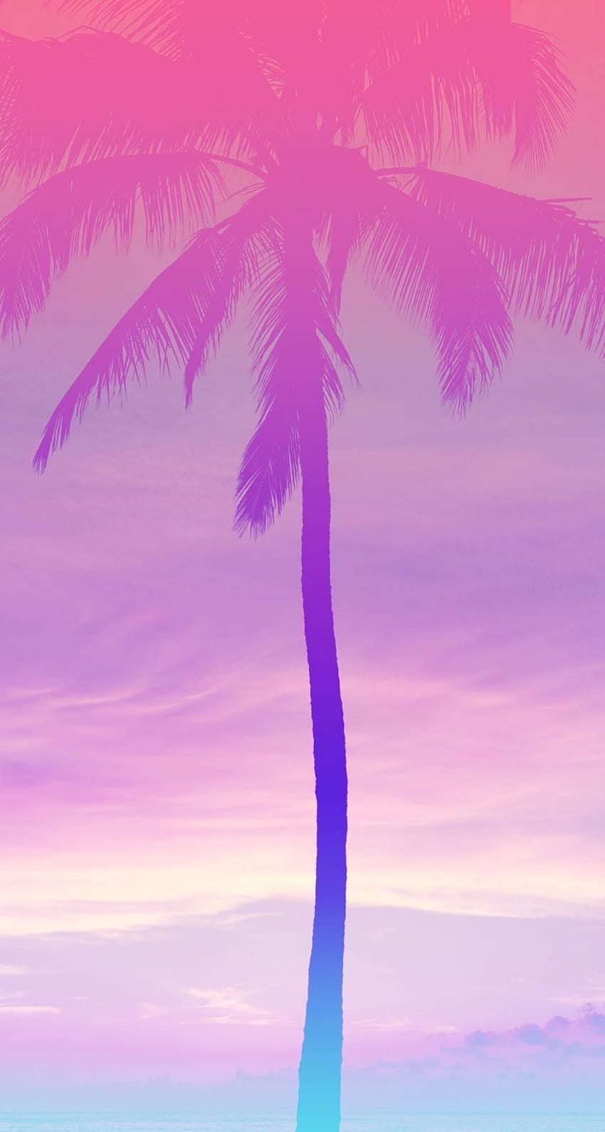 Palmier, iPhone, fond, joli, été, rose, violet, arbre coloré d'été Fond d'écran de téléphone HD