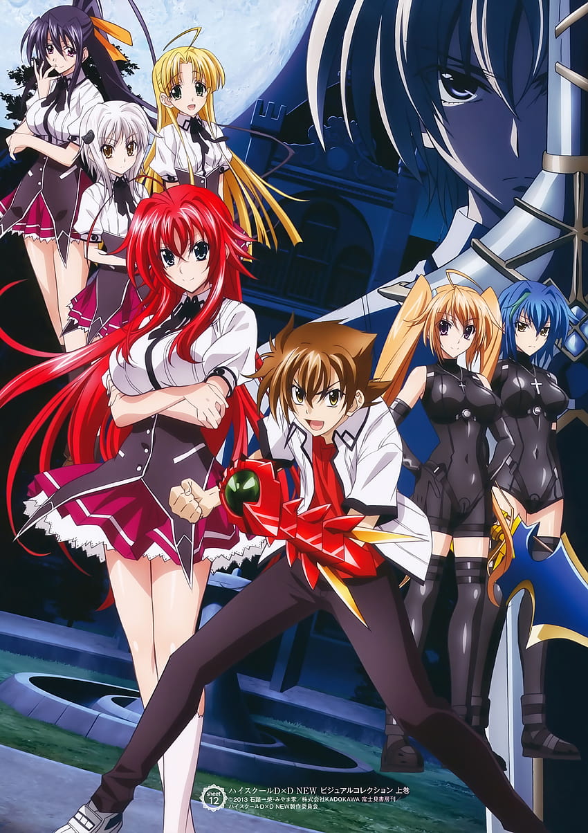 Anime Girls Gremory Rias Highschool Dxd Matte Finish Poster Paper Print   Animation  Cartoons posters in India  Buy art film design movie  music nature and educational paintingswallpapers at Flipkartcom