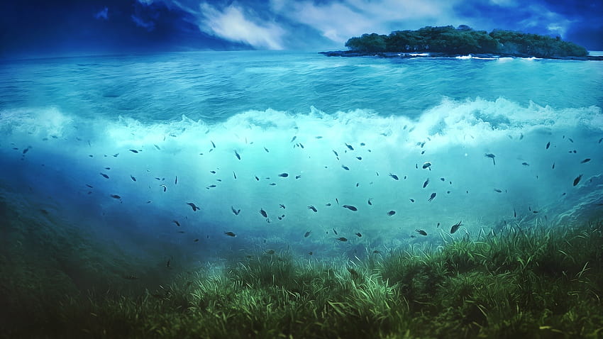 sea, Nature, Island, Fish, Artwork, Split View / and Mobile Backgrounds, sea nature HD wallpaper