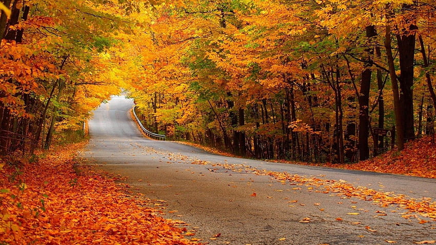 Autumn Wallpapers  Wallpapers HD