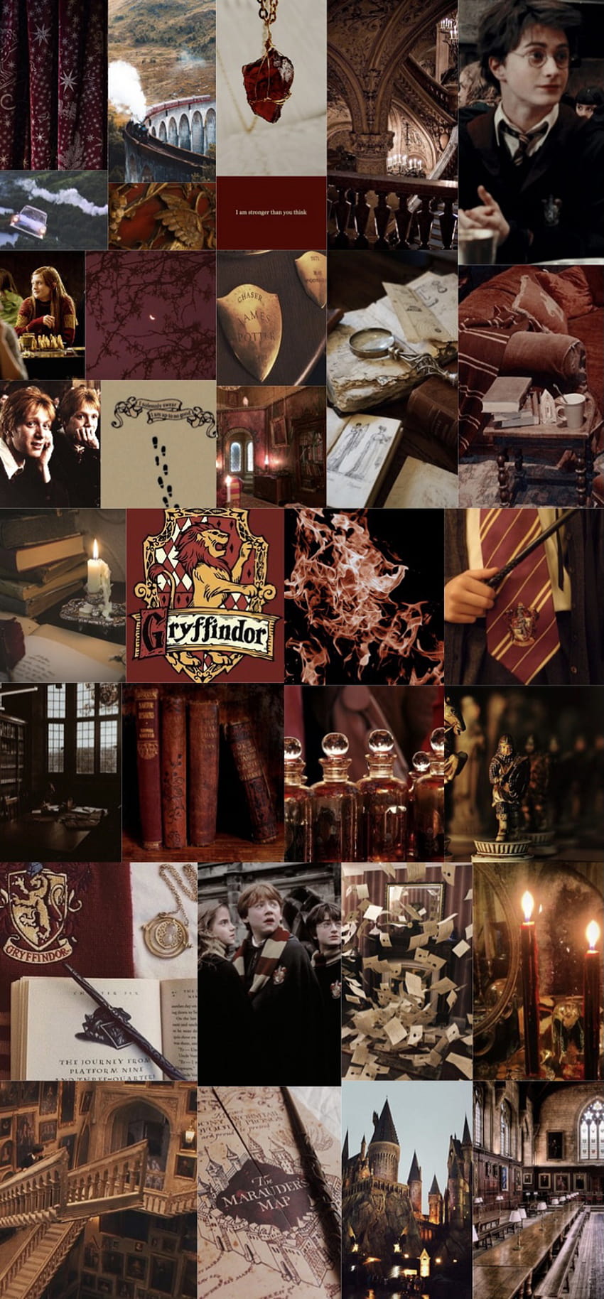 Download Bring Out the Courageous Gryffindor within You Wallpaper   Wallpaperscom