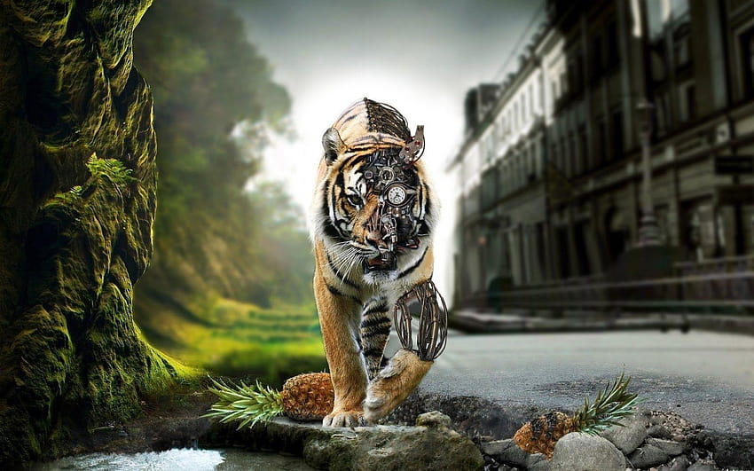 King of the Forest Tiger , Tablet, Mobile – YL Computing, pc tigre Sfondo HD