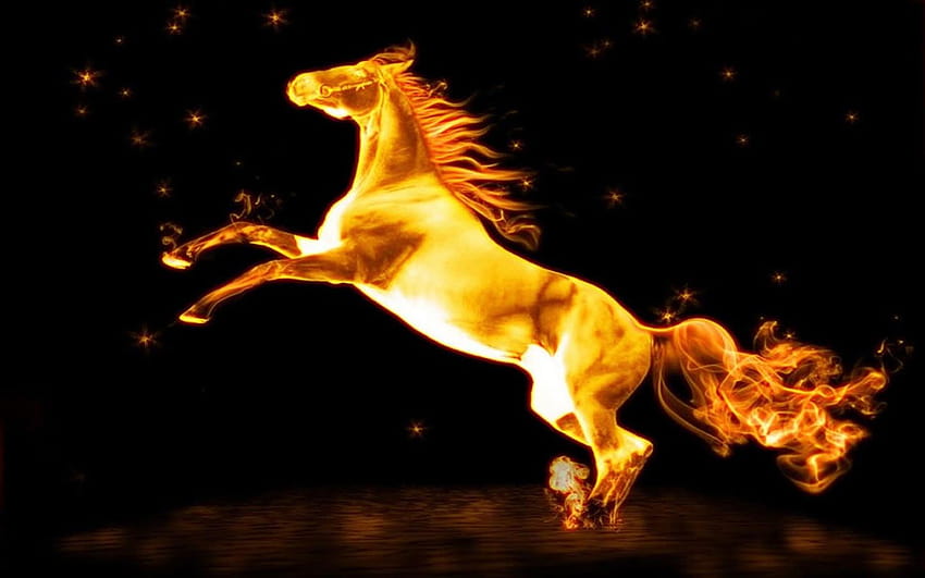 Fire Horse Live posted by Ethan Sellers, horse fire HD wallpaper
