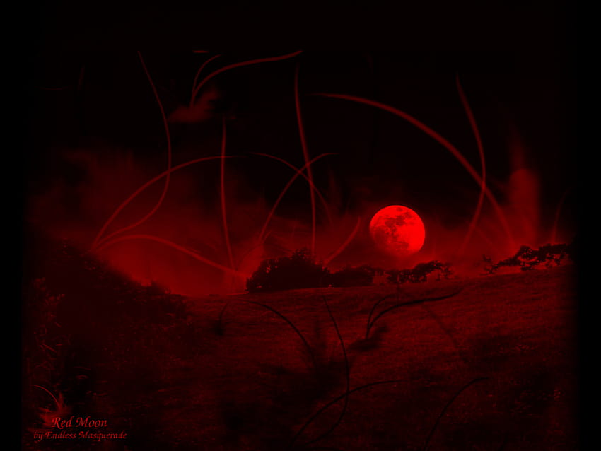 4 Blood Red Moon, halloween red moon HD wallpaper | Pxfuel