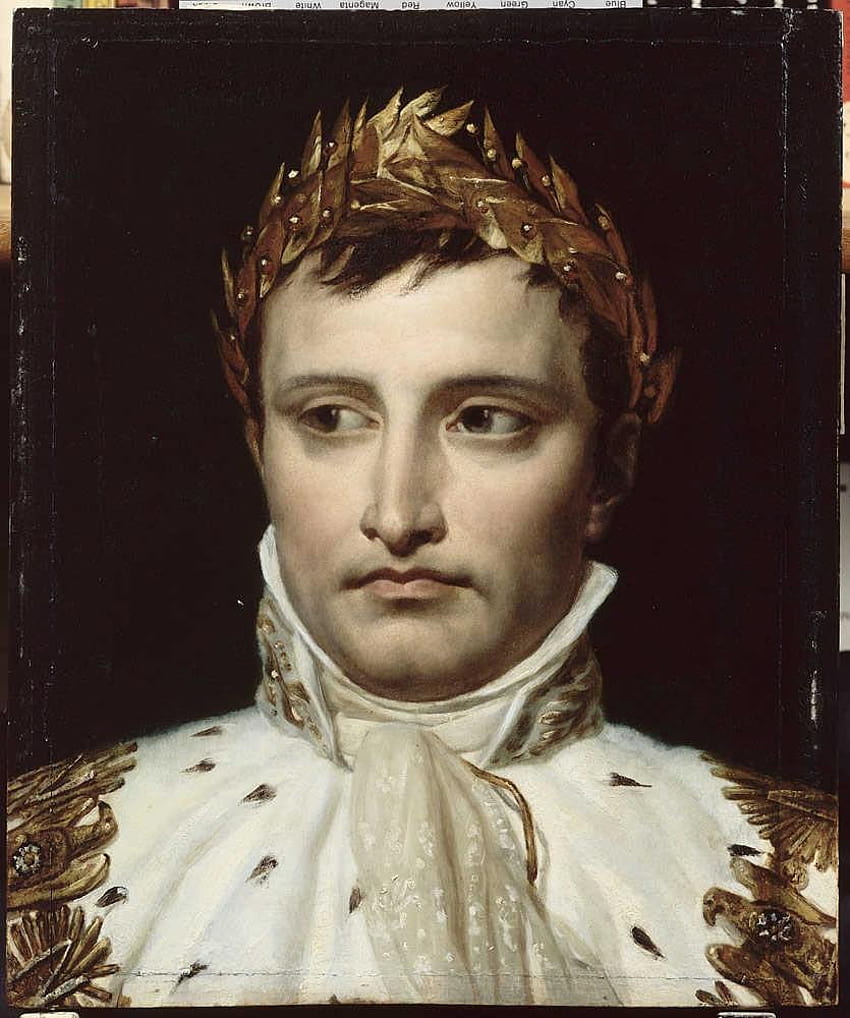 Наполеон Бонапарт I Красив Наполеон Бонапарт Ентоен HD тапет за телефон
