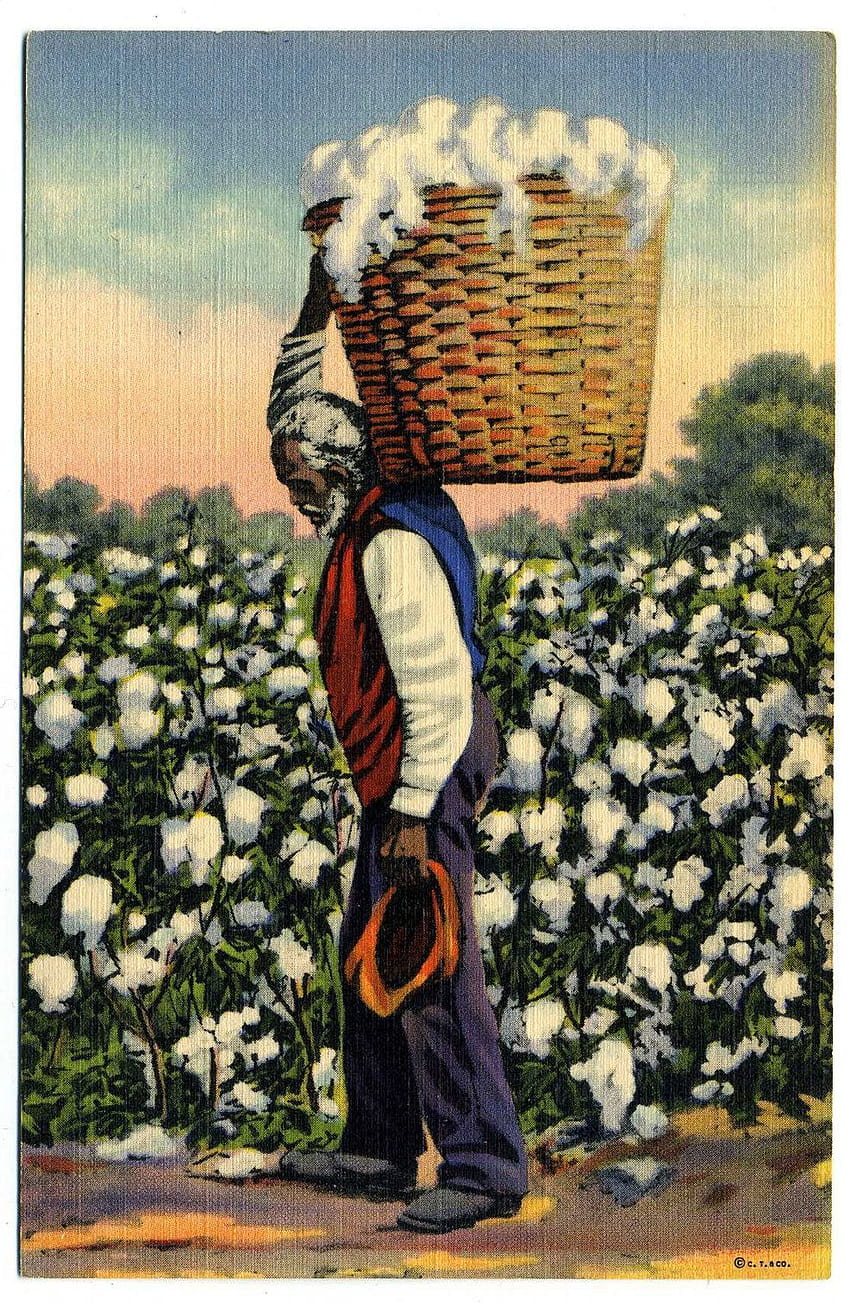 Vintage 1936 lniana pocztówka kolorowa STARY CZŁOWIEK ZBIERA BAWEŁNĘ C Teich, niewolnicza bawełna Tapeta na telefon HD