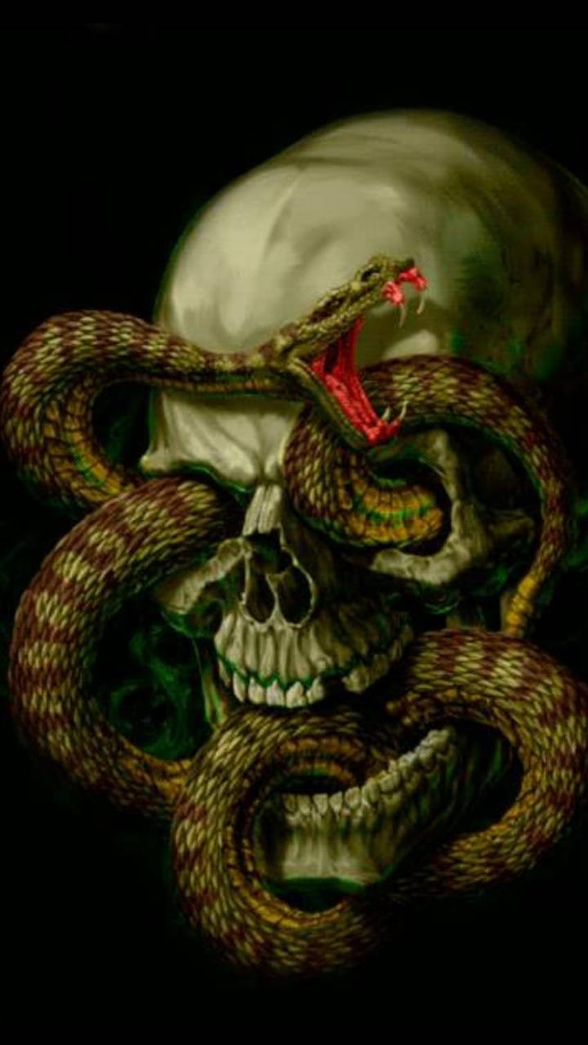 Snake and skull by MightyDuck1962, skull and snake HD phone wallpaper ...