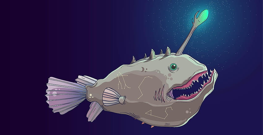 Angler fish, anglerfish HD wallpaper