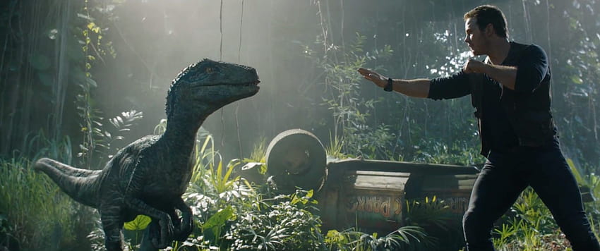 Pin em Jurassic World/Park Movie, raptor azul papel de parede HD