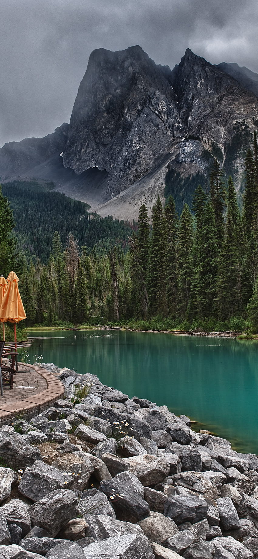 Banff, Emerald Lake, mountains, tree, Yoho National Park, emerald lake phone HD phone wallpaper