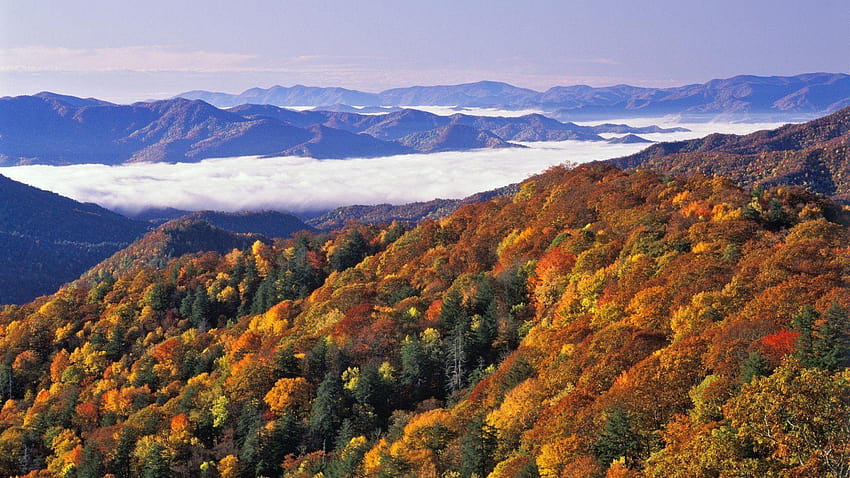 Büyük Smoky Dağları Milli Parkı 242425 HD duvar kağıdı