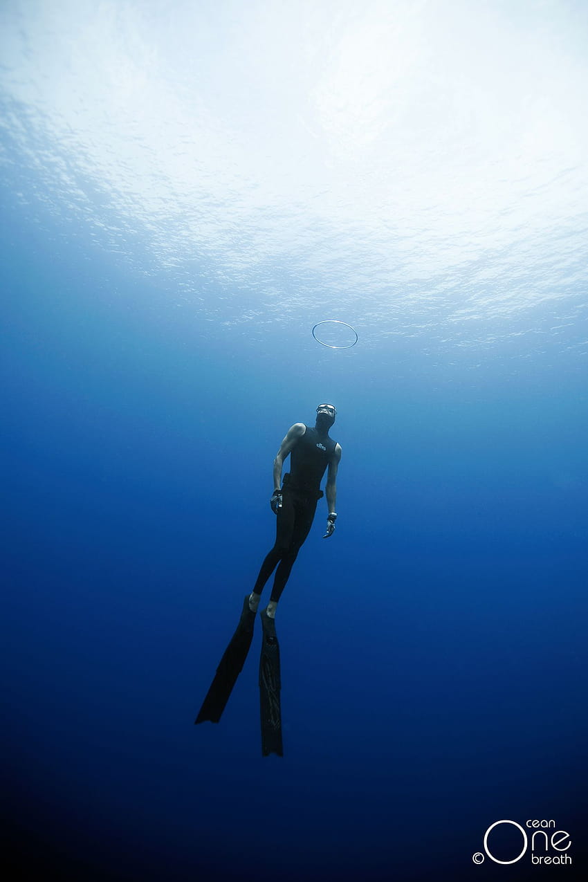 30 mejores pesca submarina y buceo en 2020 fondo de pantalla del teléfono