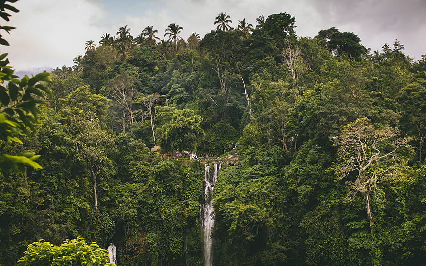 3840x2400 waterfall, forest, greenery, giant, clean greenery HD wallpaper