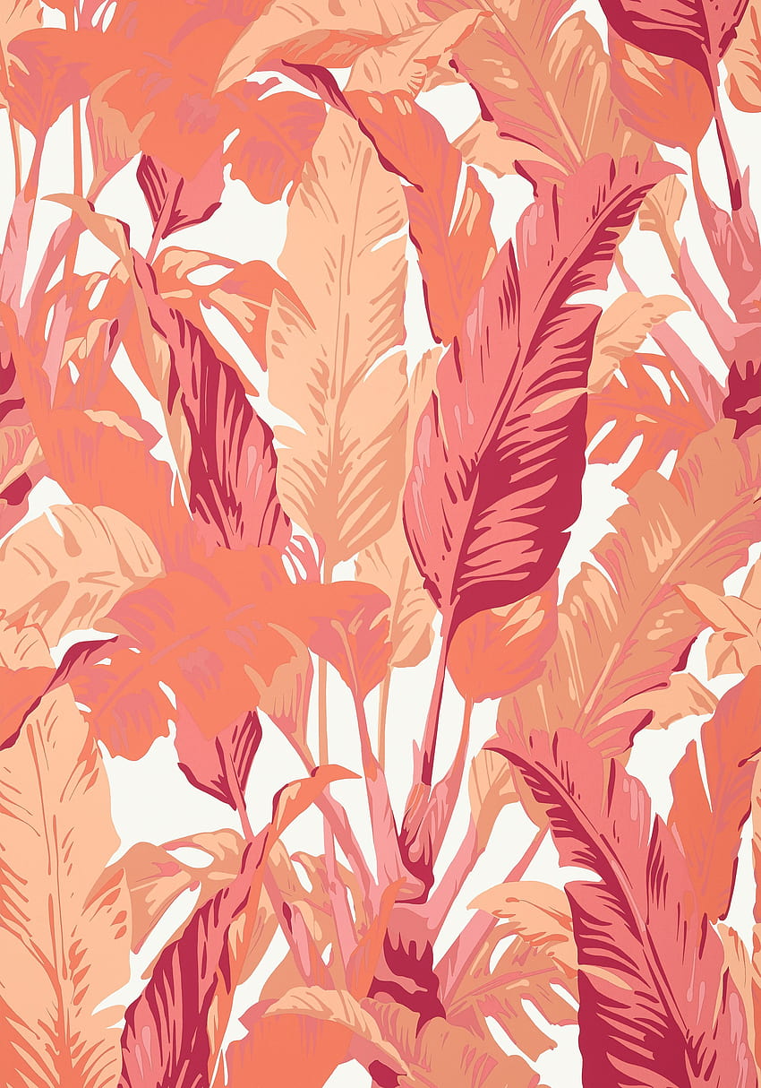 TRAVELERS PALM, Pink and Coral, T10130, Tropics from Thibaut HD phone wallpaper