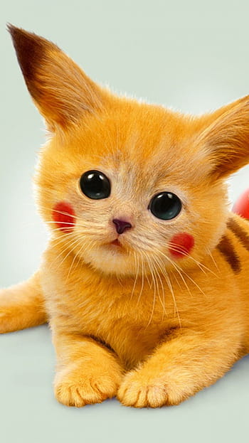 Pokemon Kawaii cat