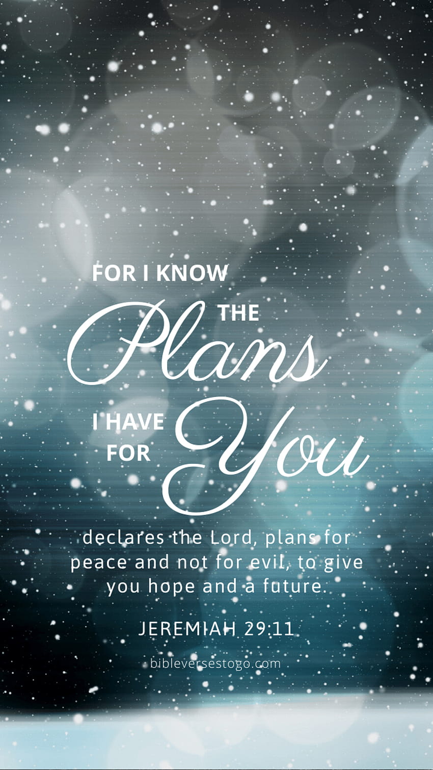 Snowfall Jer 29:11 – Bible Verses To Go, jeremiah 2911 HD phone ...