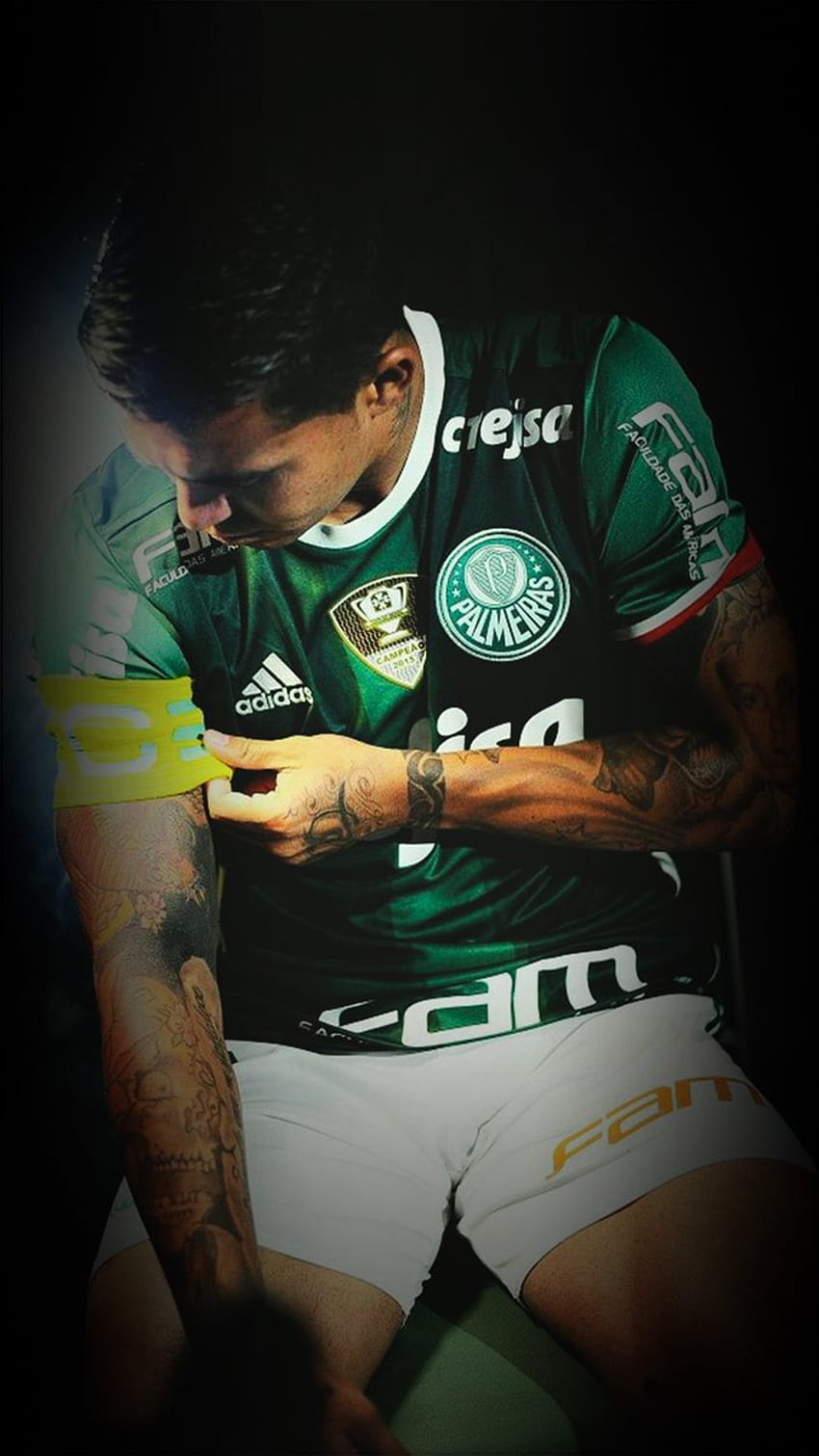 Palmeiras on Twitter:, dudu palmeiras HD phone wallpaper