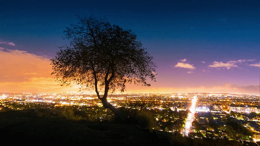 Lone tree silhouette with Los Angeles cityscape in backgrounds at night, view from Hollywood Hills. U Timelapse. Stock Video Footage HD wallpaper