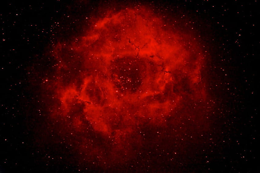 Rosette Nebula HD wallpaper