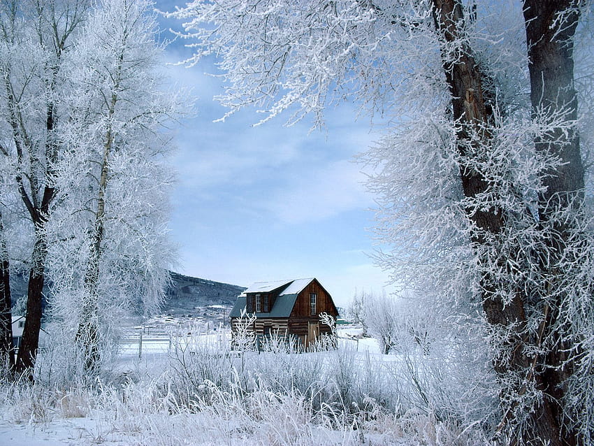 Winter Wonderland, Steamboat Springs, Colorado. บ้านฤดูหนาวที่โดดเดี่ยว วอลล์เปเปอร์ HD