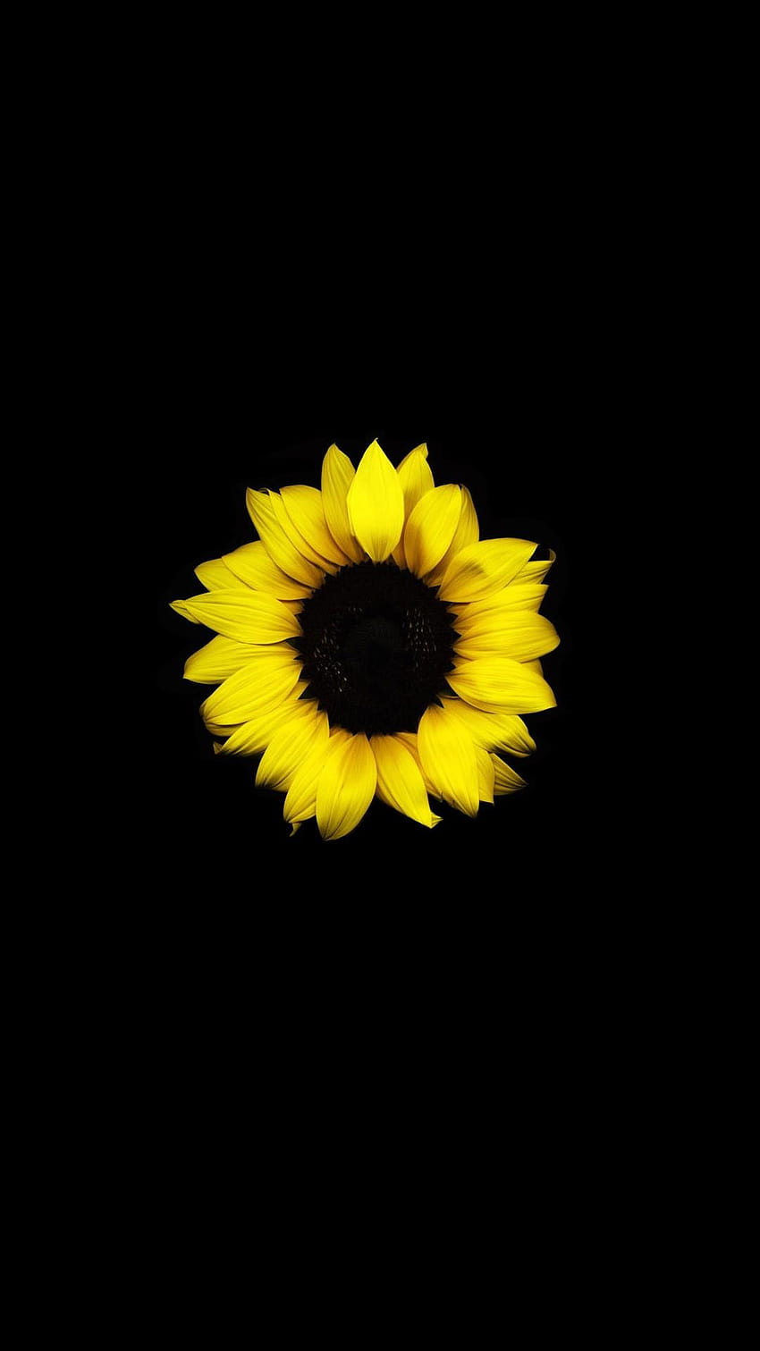 My favorite amoled , 黄色の花 [1080x1920, flower amoled HD電話の壁紙