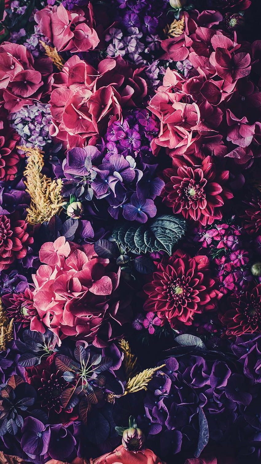 5 Floral iPhone To Celebrate 6 Pinterest Followers HD phone wallpaper |  Pxfuel