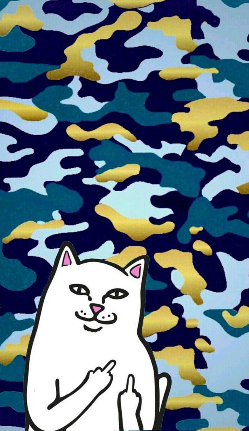6 Dope Cat, rip n dip HD phone wallpaper