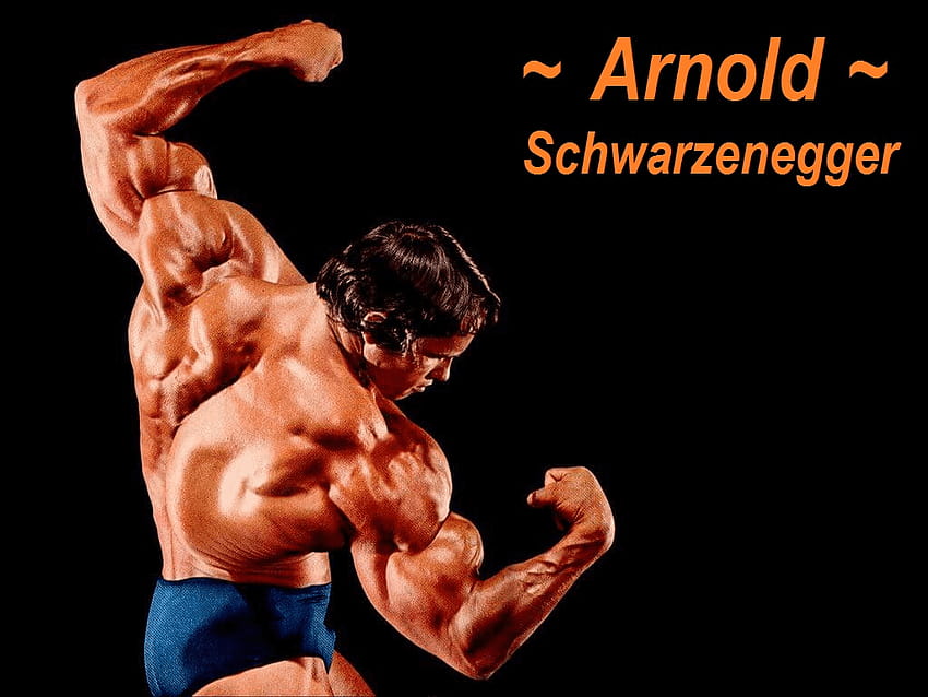 Arnold Schwarzenegger Mr Olympia Massive Body Builder, of body builders HD wallpaper
