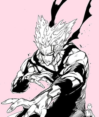 900+ Garou The Human Monster ideas in 2023  one punch man, one punch, one  punch man anime