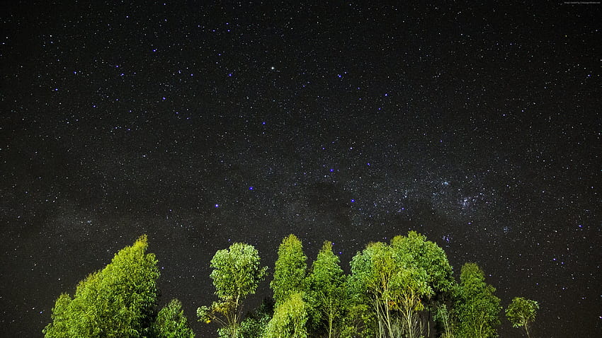 Night, stars, sky, trees, Nature, sky nature HD wallpaper | Pxfuel