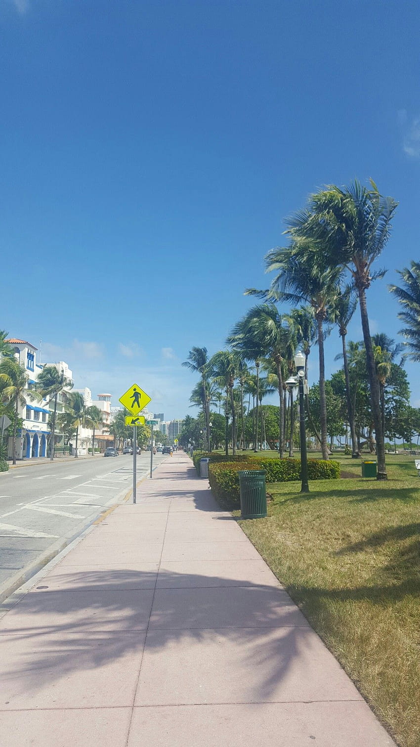 Ocean Drive South Beach Miami HD phone wallpaper