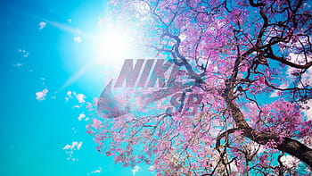 Pink Nike Wallpaper 52 images