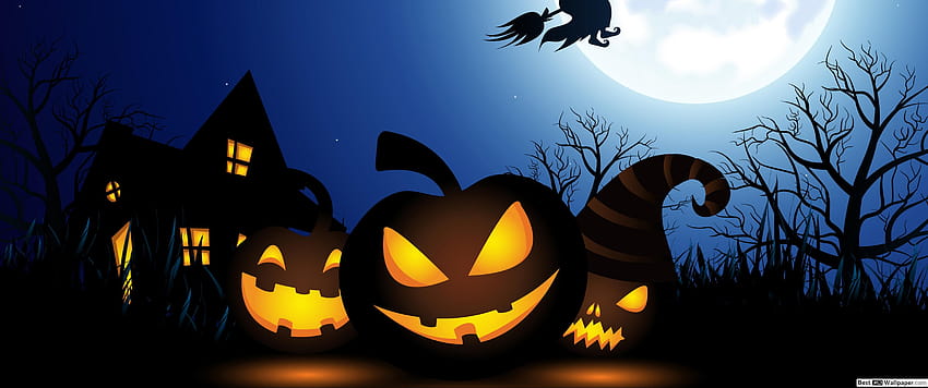 Spooky Halloween Witch, 3440x1440 halloween HD wallpaper | Pxfuel