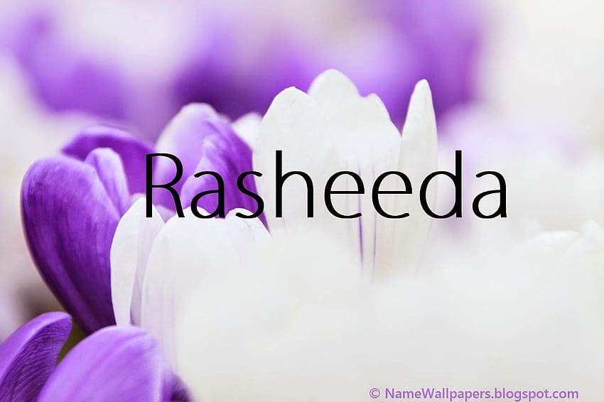 Rasheeda Name Rasheeda ~ Name Urdu Name HD wallpaper | Pxfuel