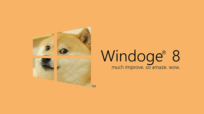 Doge 1920x1080 HD wallpaper | Pxfuel