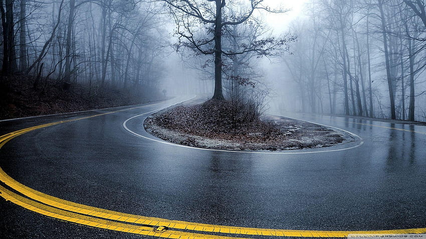 Foggy Road ❤ for Ultra TV • Tablet, rain forest road HD wallpaper