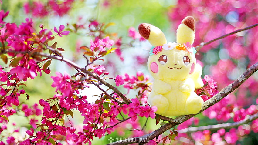 7 Pokemon May, spring pokemon HD wallpaper | Pxfuel