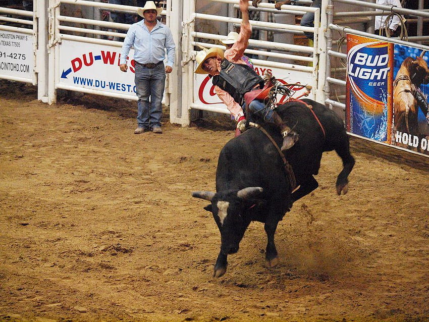 Пасадена Тексас Ден 2 PBR Язда с бикове Pasadena Livestock Shoo… HD тапет