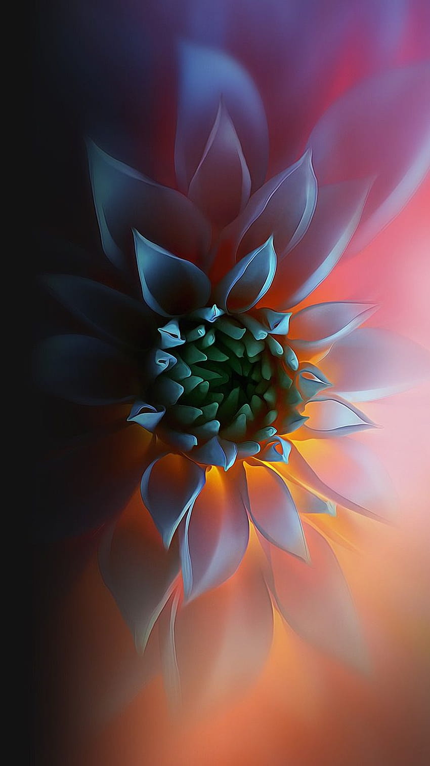 flower, the most awesome mobile HD phone wallpaper