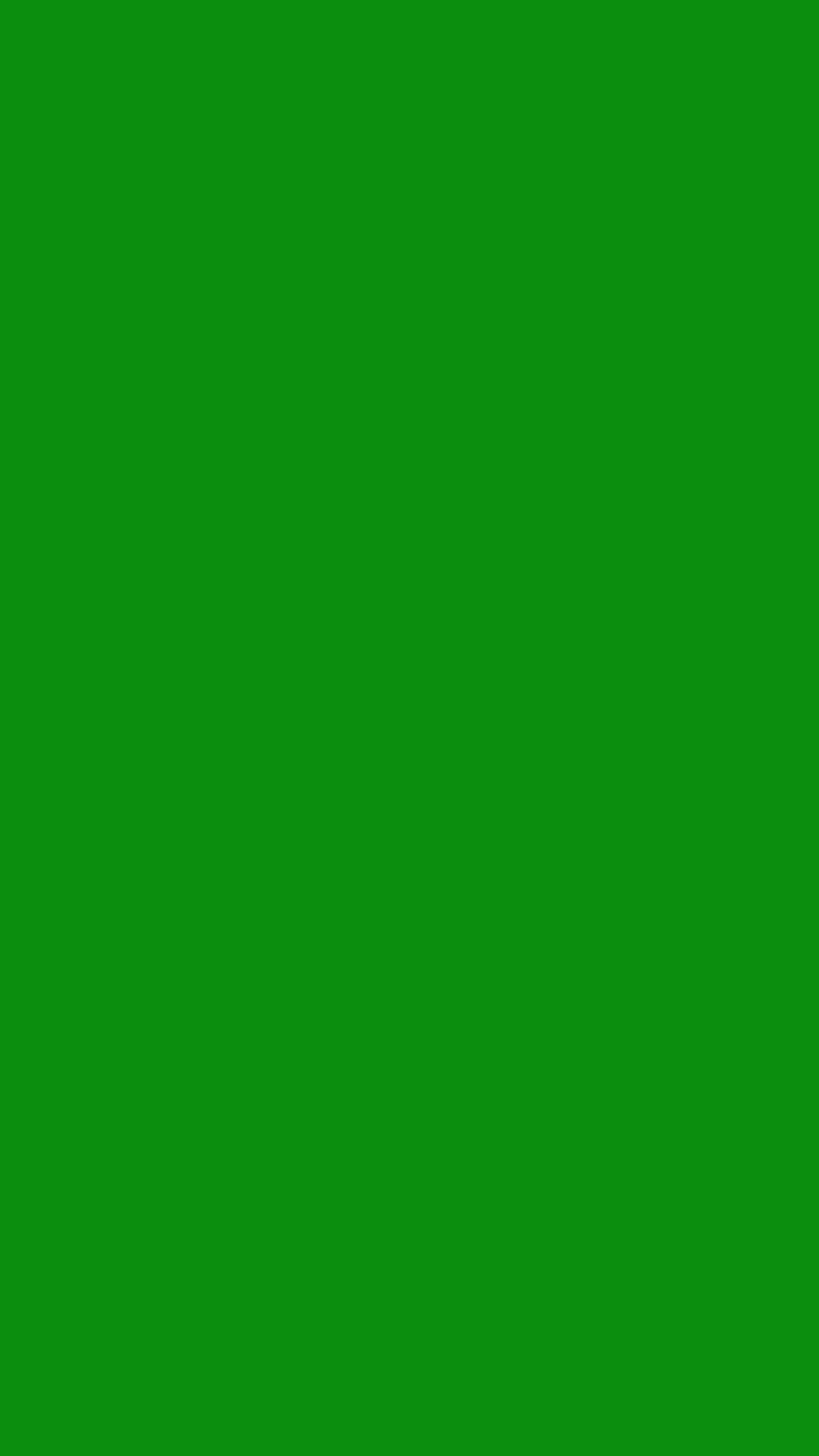 Jual tła hijau 2x2,7 metra, tło hijau Tapeta na telefon HD