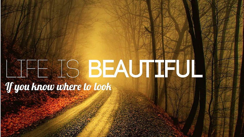 Nice Quotes On Life Life Is Beautiful Quotes HD wallpaper