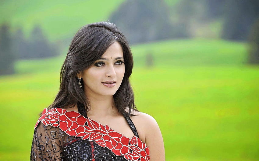 Anushka Shetty atriz sul em saree preto, heroína sul papel de parede HD